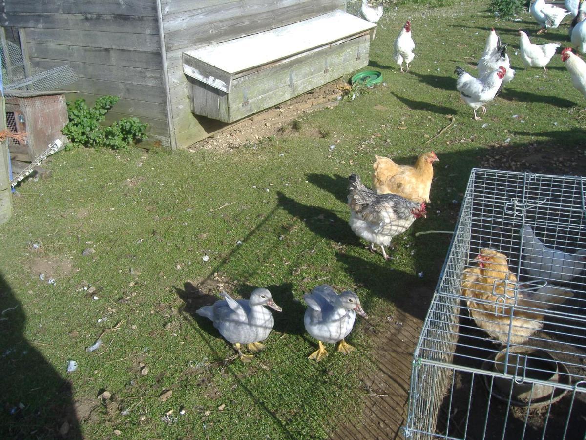 South Moor Farm Bed and Breakfast Σκάρμπορο Εξωτερικό φωτογραφία